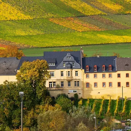 Schwalbennest Auf Dem Weingut Arthur Melsheimer