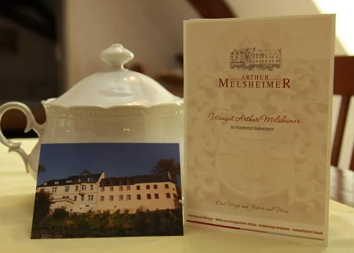 Schwalbennest Auf Dem Weingut Arthur Melsheimer