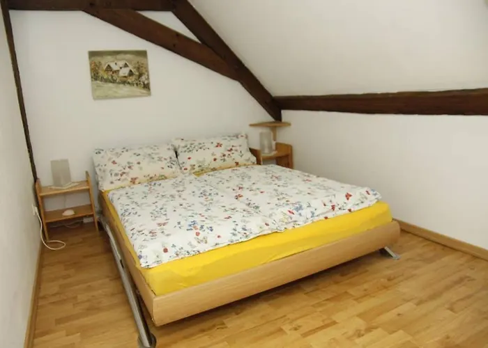 Schwalbennest Auf Dem Weingut Arthur Melsheimer *