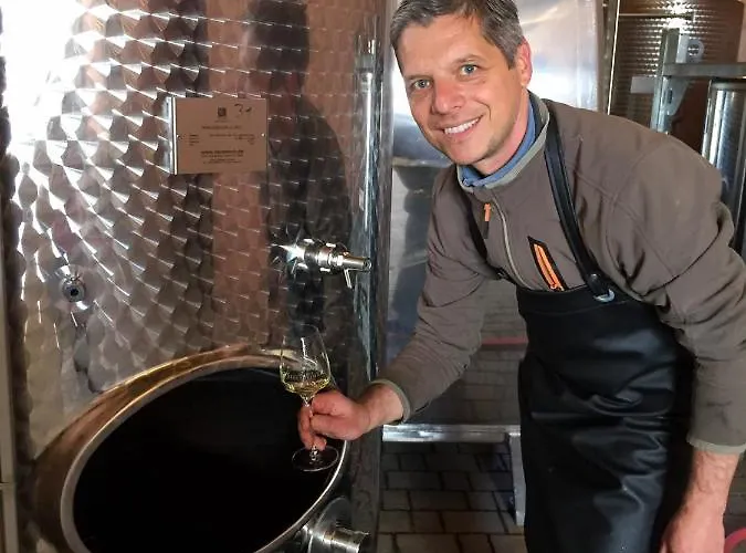 Schwalbennest Auf Dem Weingut Arthur Melsheimer