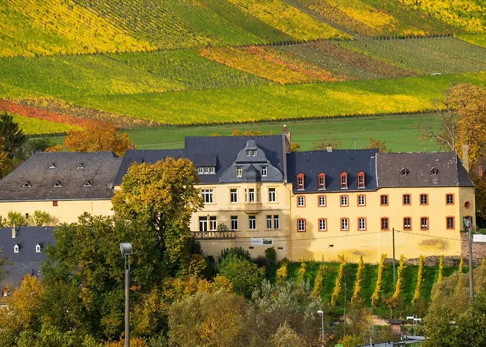 Schwalbennest Auf Dem Weingut Arthur Melsheimer